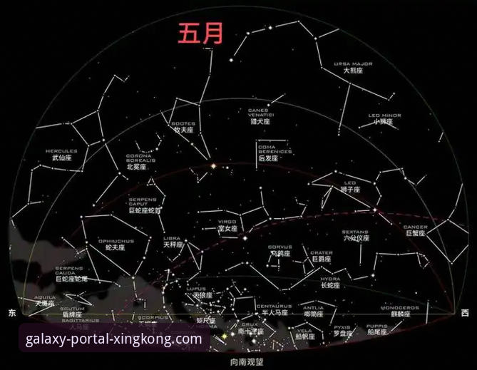 掌握星空平台攻略的实用技巧：从下载到高效使用的完整指南